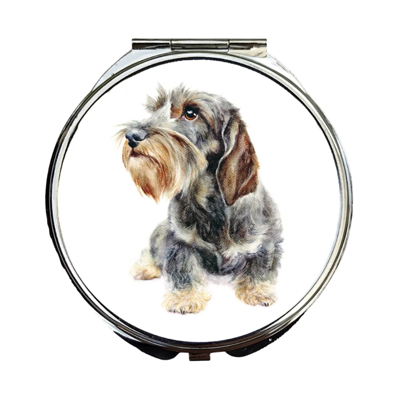 Kompakter Spiegel, Benson, Rauhaardackel