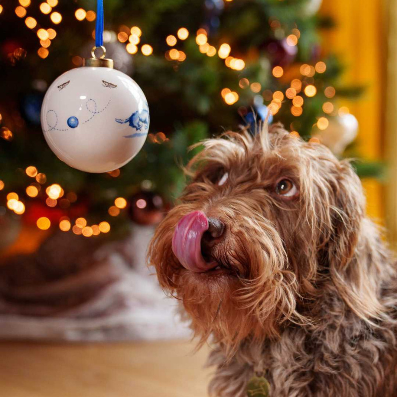 Weihnachtskugel, Christbaumkugel