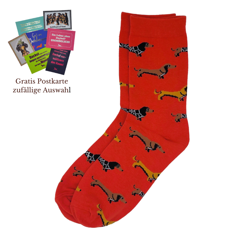 Dackelsocken