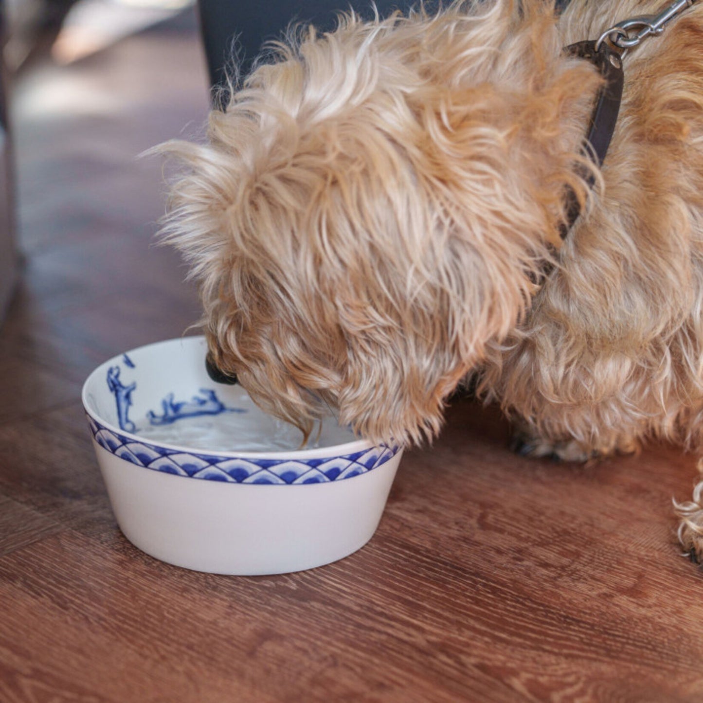 Futternapf Dackel Nhaan