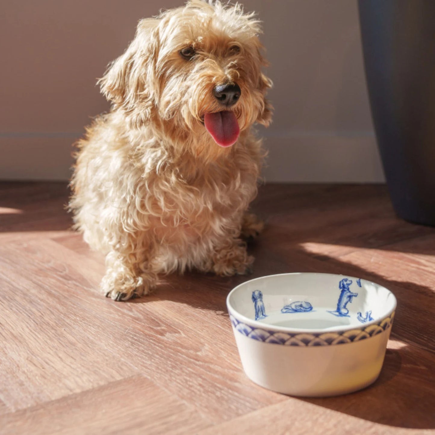 Futternapf Dackel Nhaan