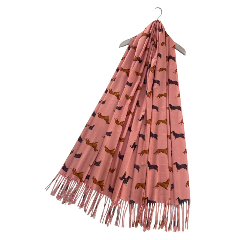 Pashmina Schal