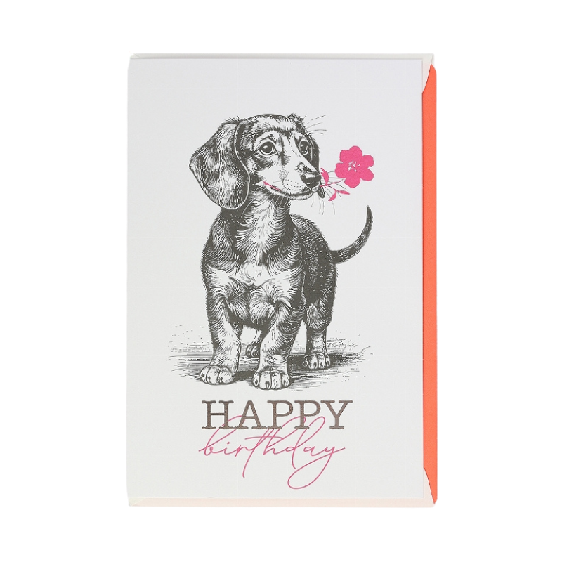 Geburtstagskarte mit einem gezeichneten Dackel, der eine pinke Blume im Maul hält, darunter der Schriftzug „Happy Birthday“ in Schwarz und Pink.