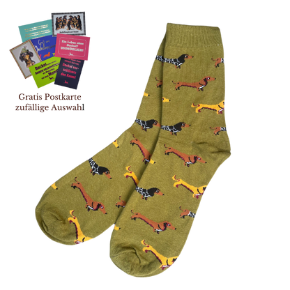Dackelsocken XL