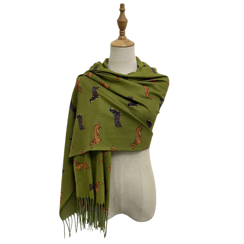 Pashmina Schal