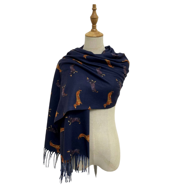 Pashmina Schal