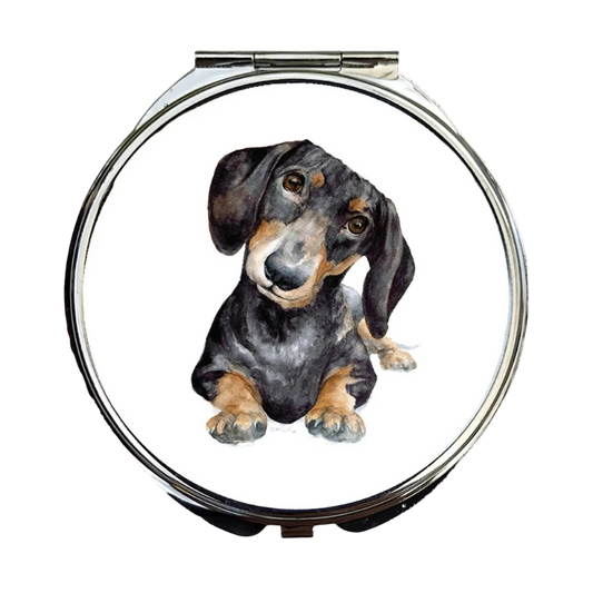 Kompakter Spiegel, Dackel