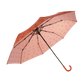 Regenschirm
