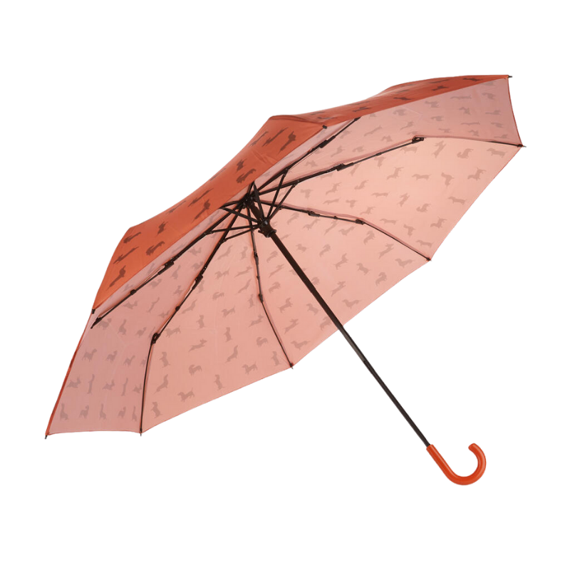 Regenschirm