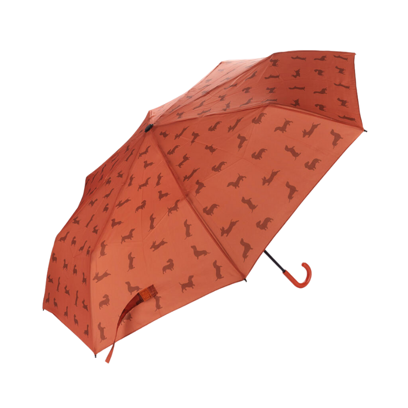 Regenschirm
