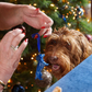 Weihnachtsfigur, Christbaumschmuck, Ornament