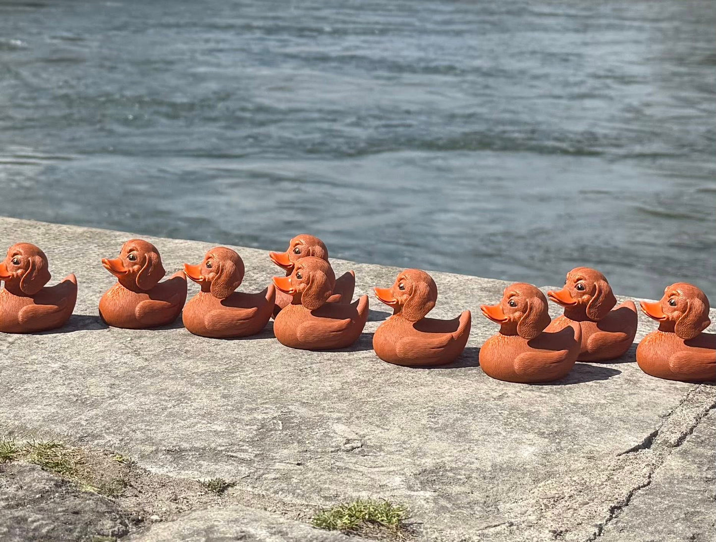 Gummiente, Quietscheente