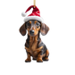Weihnachtsbaumanhänger in Form eines Dackels, der eine rote Weihnachtsmütze trägt. Der Dackel hat ein glänzendes, schwarzes Fell mit braunen Akzenten und blickt mit einer ernsten, nachdenklichen Miene.