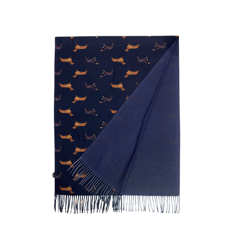 Pashmina Schal