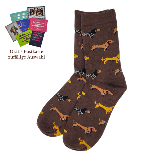 Dackelsocken