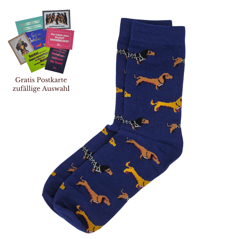 Dackelsocken XL
