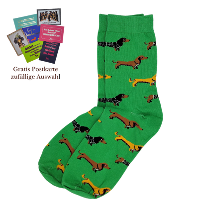 Dackelsocken