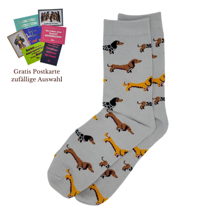 Dackelsocken