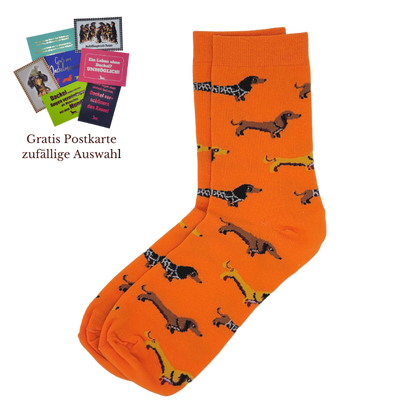 Dackelsocken