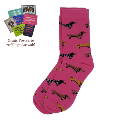Dackelsocken