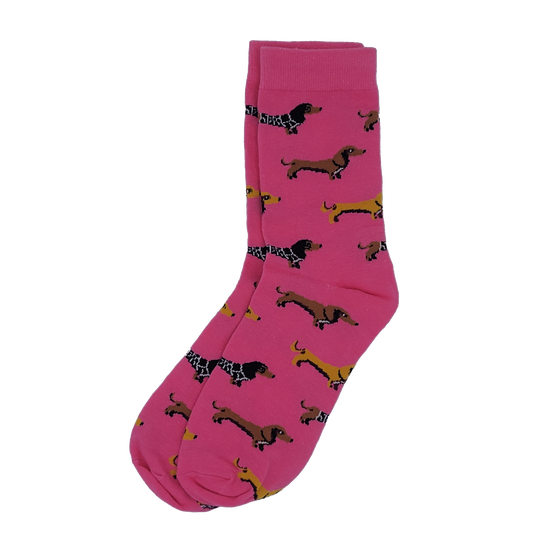 Dackelsocken
