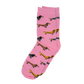 Dackelsocken