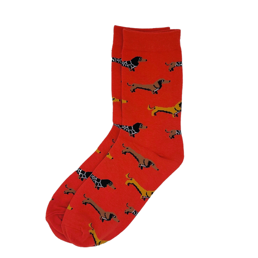 Dackelsocken