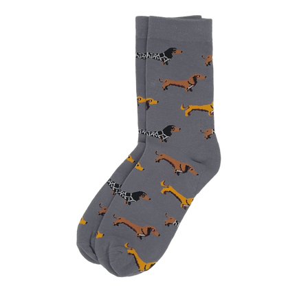 Dackelsocken XL